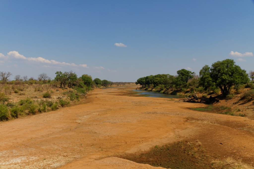 08 - Kruger NP (67).jpg